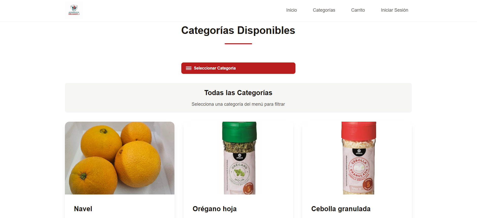 Diseño web para empresa en Córdoba - cocoWeb